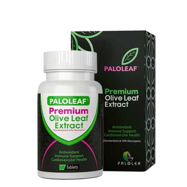 Paloleaf Premium Olive Leaf Extract 60Tab