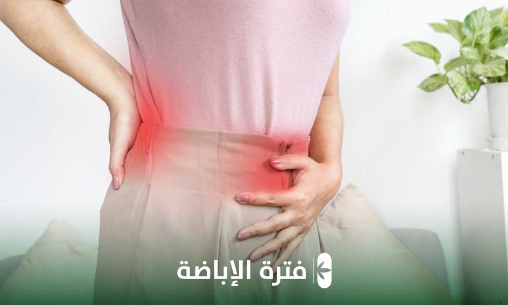 فترة الاباضة و كيفية التنبأ بموعدها
