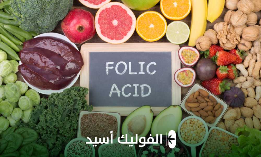 فوائد الفوليك أسيد 